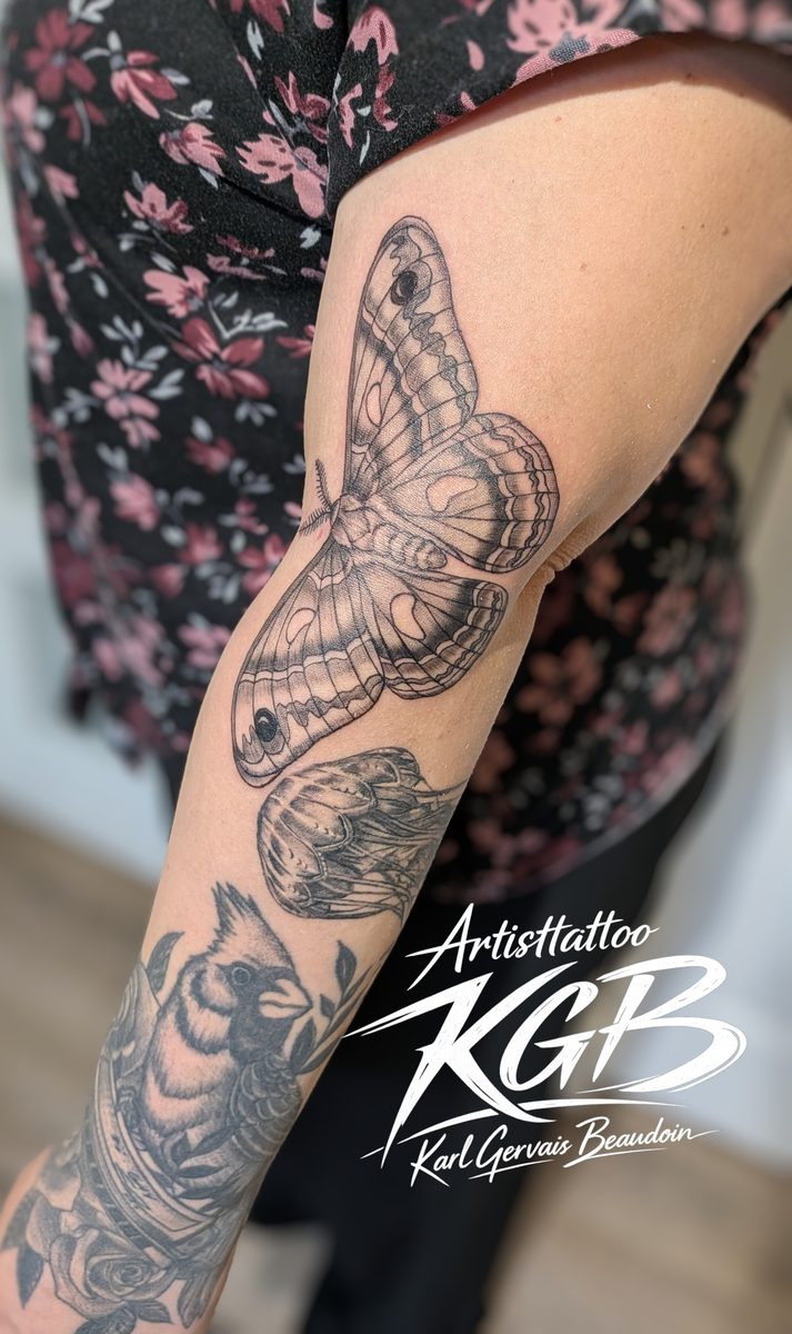 Tatouage papillon de nuit fine ligne